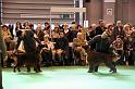 Crufts2010 1775